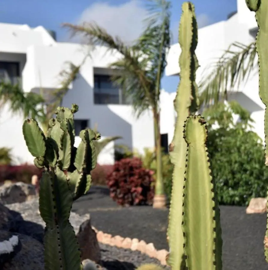 Apartamento Azul Vv -Fuerteventura Site- Jacuzzi, Aire Acondicionado, Solarium , Terraza Vistas Panoramicas, Diseno , Luxury, Fuerteventura Site Apartment La Oliva